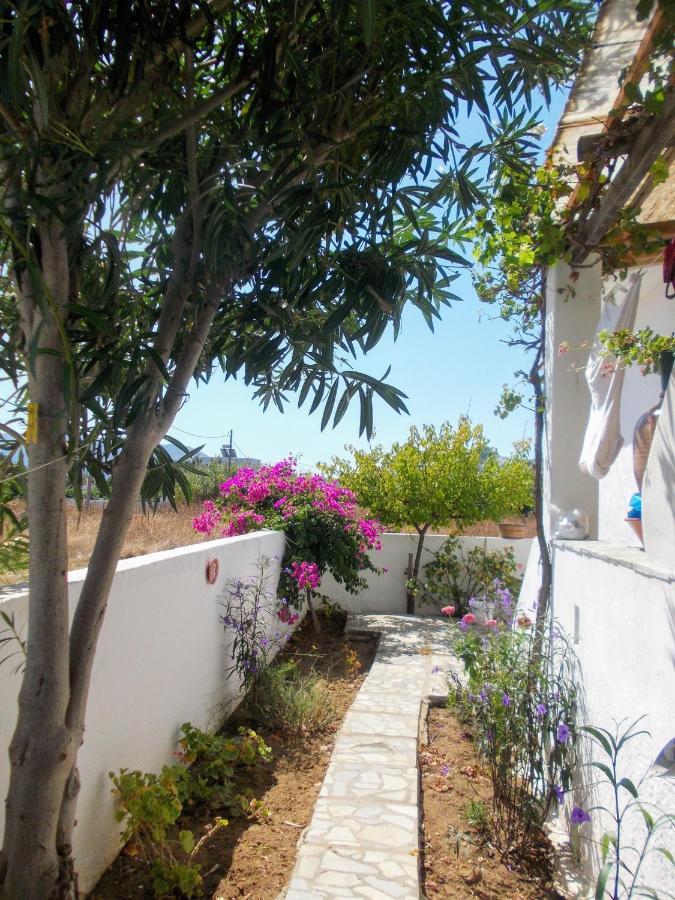 Nyfes Traditional Boutique Faltaina İskiri Dış mekan fotoğraf